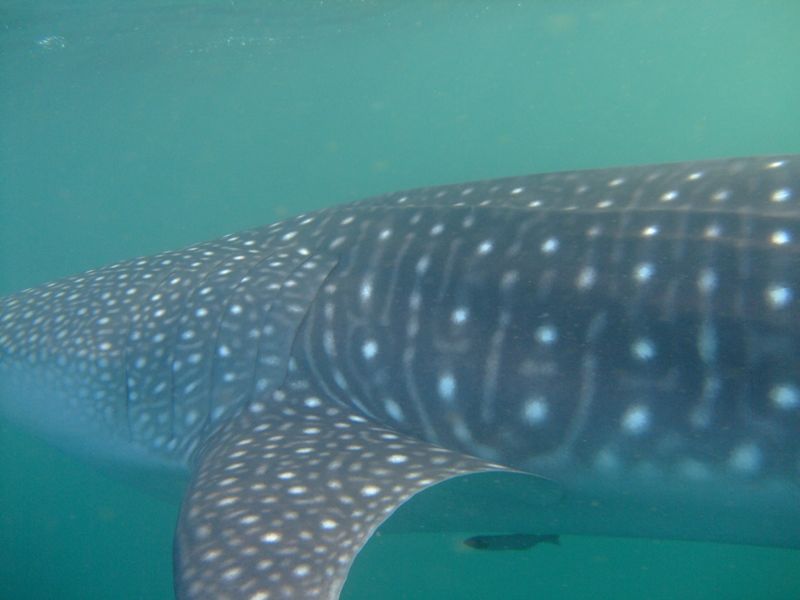 5311b52a-3e90-40b9-9aa0-9e55f525c141