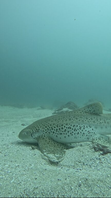 f6483acc-1f26-4608-80ae-9cc8a54744e9