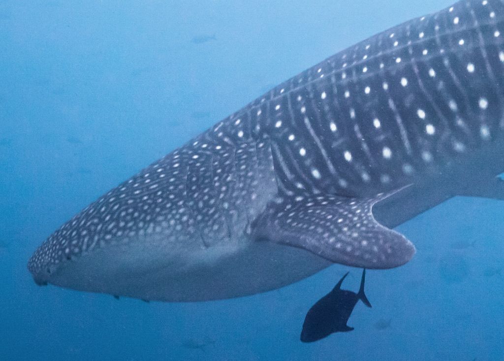 ac50960b-e7c5-4be4-8a39-d00493fe4b03