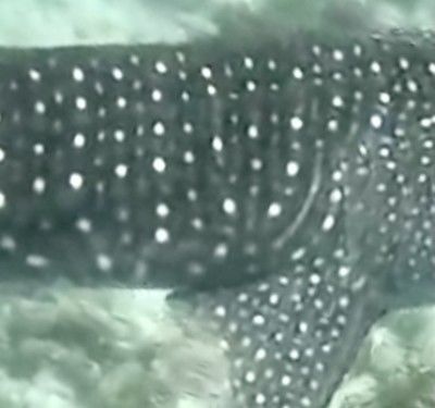 f6d58779-cc49-4175-b46a-4cb2cded97c4