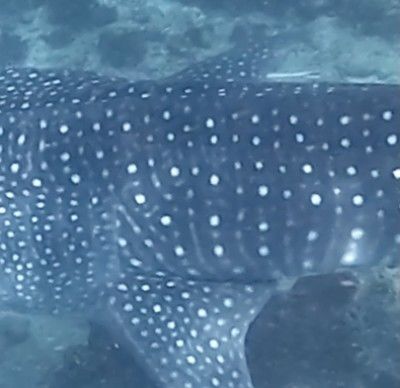 f6d58779-cc49-4175-b46a-4cb2cded97c4