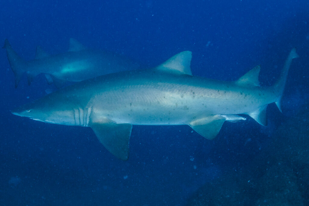 fbc36861-3a80-4f1c-9576-3434383608da