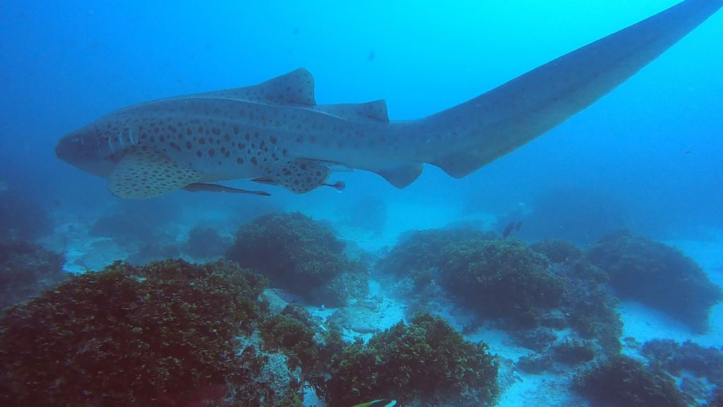 b81a47cb-bd61-4007-a15b-222ea21cd25a