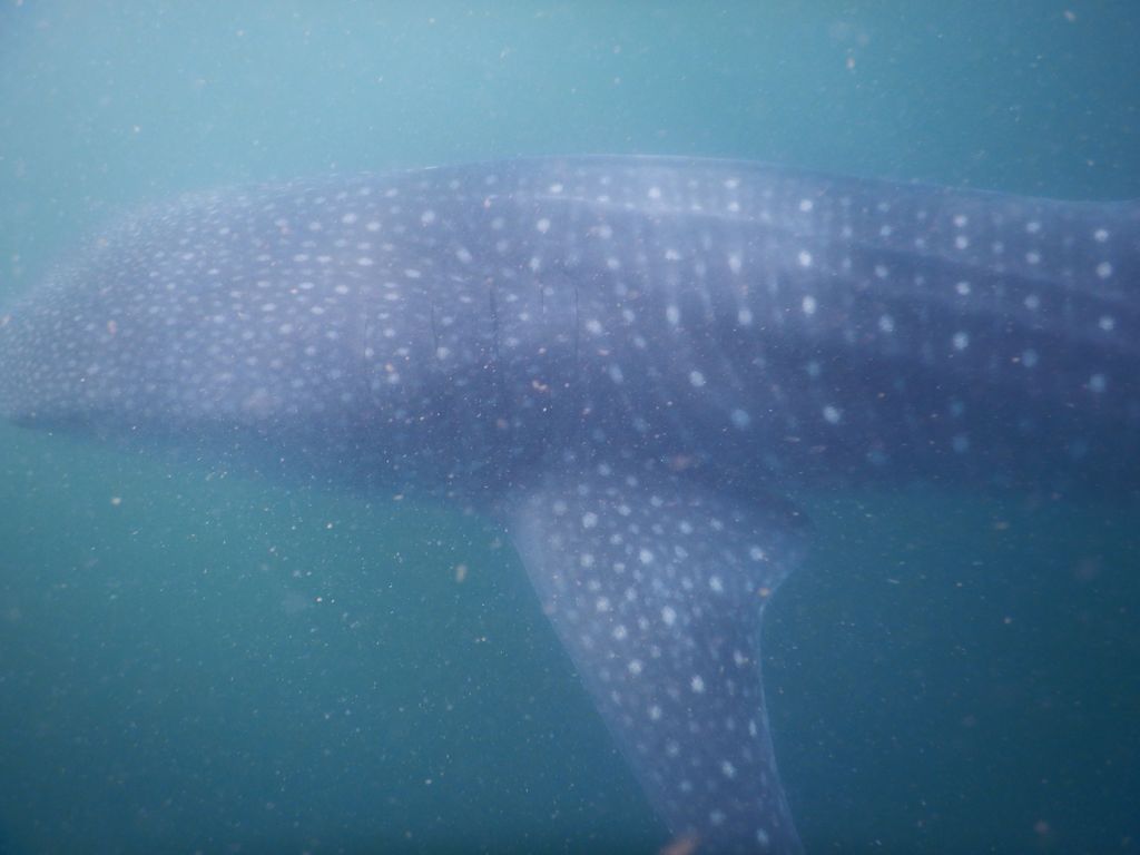 601afad2-002a-4c91-ade6-886fc3b3ccc7