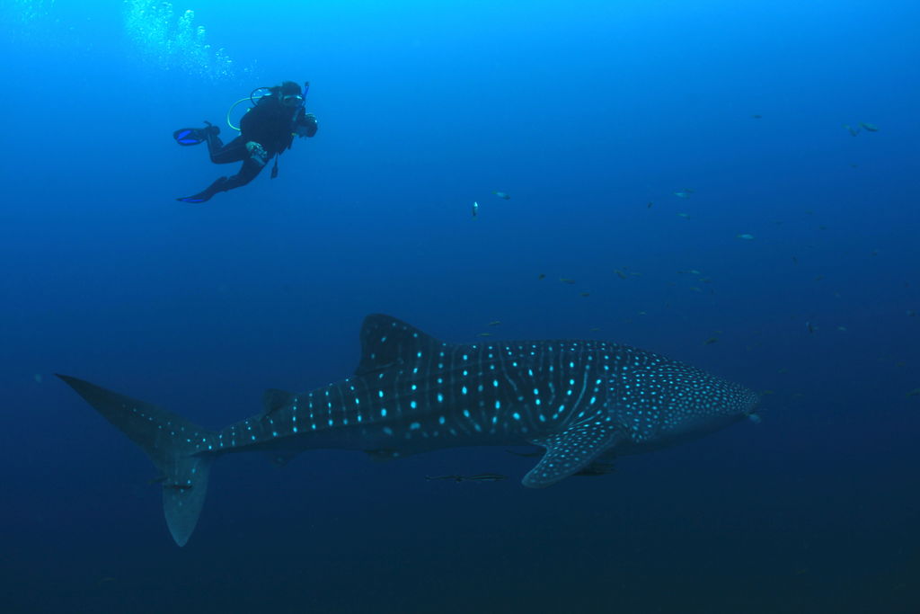 aa128390-5def-4c10-b1f0-6a9d7cd6b1e3