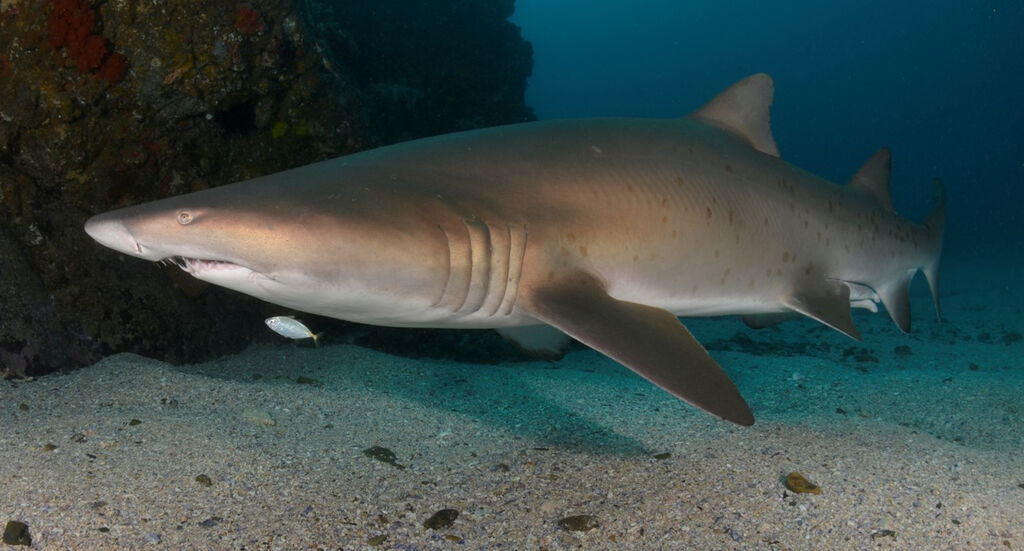 d40a2f61-69ad-43d9-a822-aeb20a2b95d5