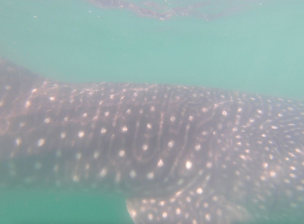 5f892730-7766-42bc-a30e-f91cc997b1f2