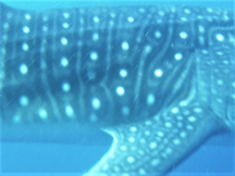 93954211-2564-4eeb-bd01-0b8ca98998d1