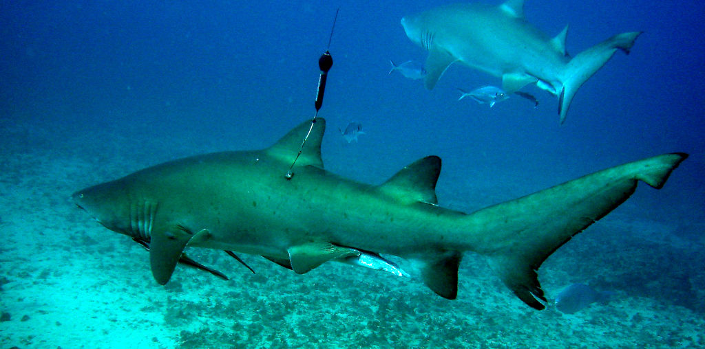 8e7f0035-f040-4778-a662-db7932ac3e18