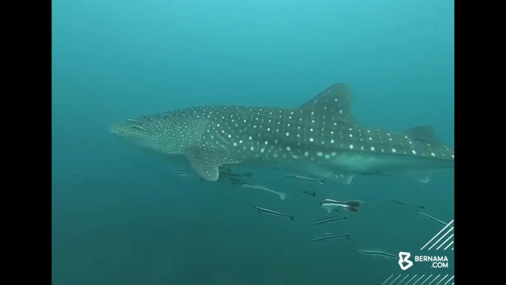 a4232039-0342-4c0c-8c15-43835872f202