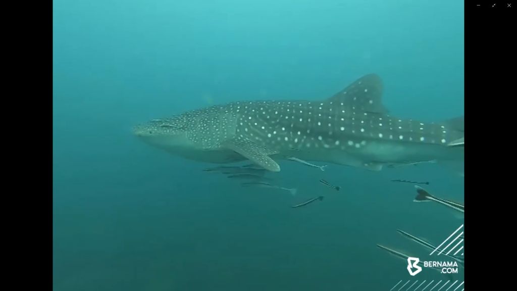 a4232039-0342-4c0c-8c15-43835872f202