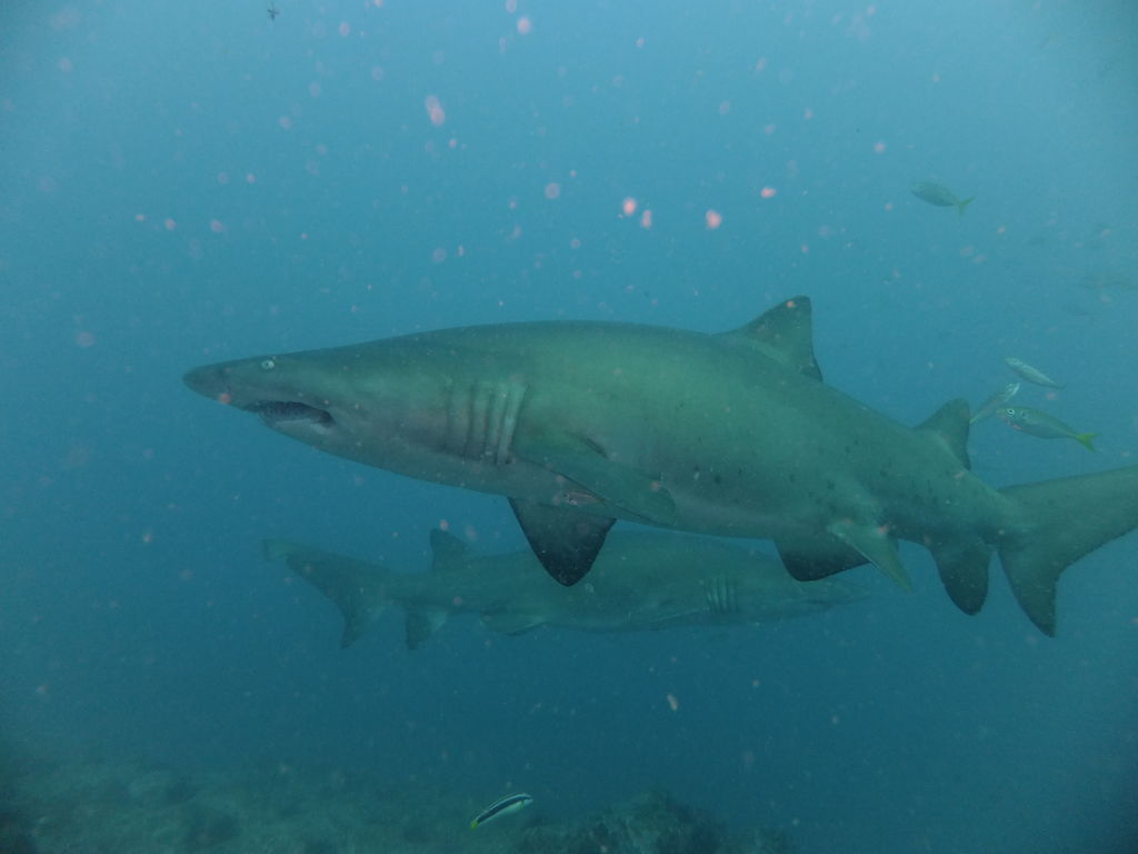 e6fa45be-6fe5-4971-9bc9-fd42bccf6322