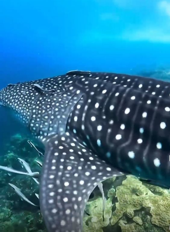 56552679-a74d-46cd-b72b-cbf78356b6f8