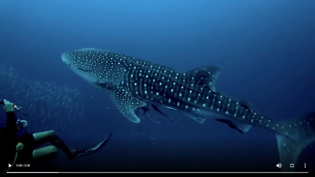 ed61fe27-bbc0-49f3-804b-3222ec0ecd70