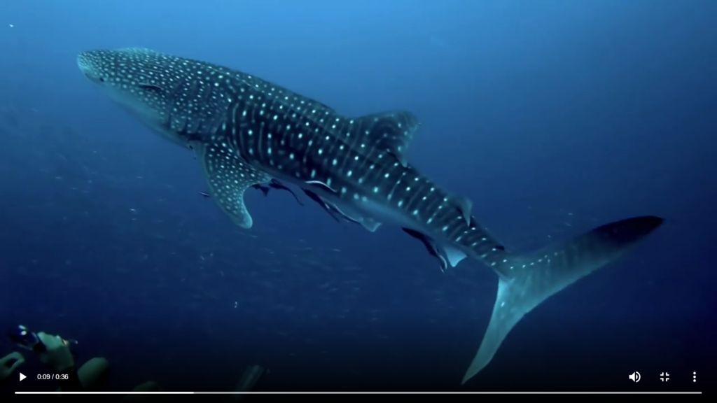 ed61fe27-bbc0-49f3-804b-3222ec0ecd70