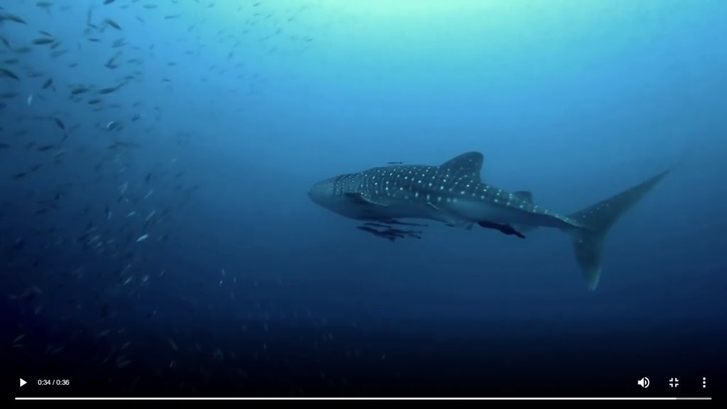 ed61fe27-bbc0-49f3-804b-3222ec0ecd70