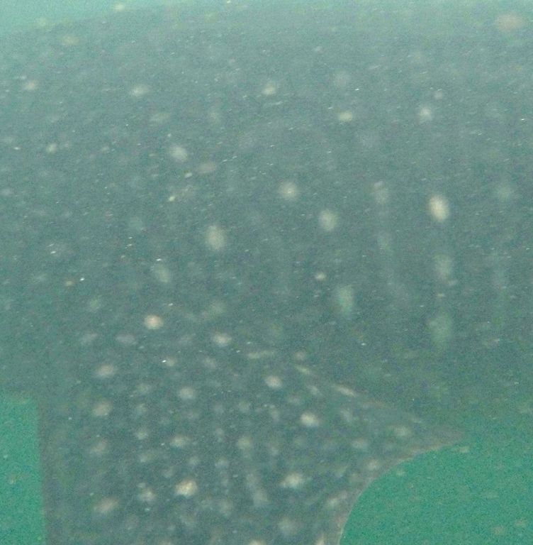 13fa1165-14e9-49b3-8a97-56ff13571ddb