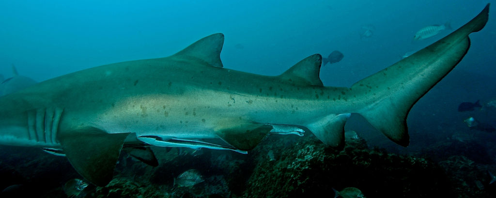 4766e9d6-7da9-4ed5-99be-9588fc64ce4c