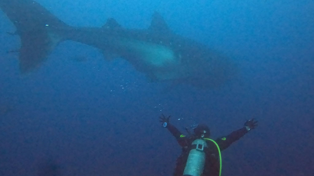 25974c0f-0bfe-41d9-a4b4-e84b3a4b4cf2