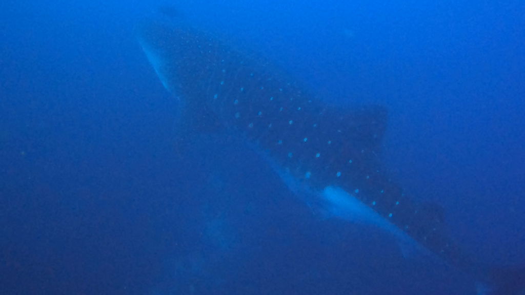 25974c0f-0bfe-41d9-a4b4-e84b3a4b4cf2