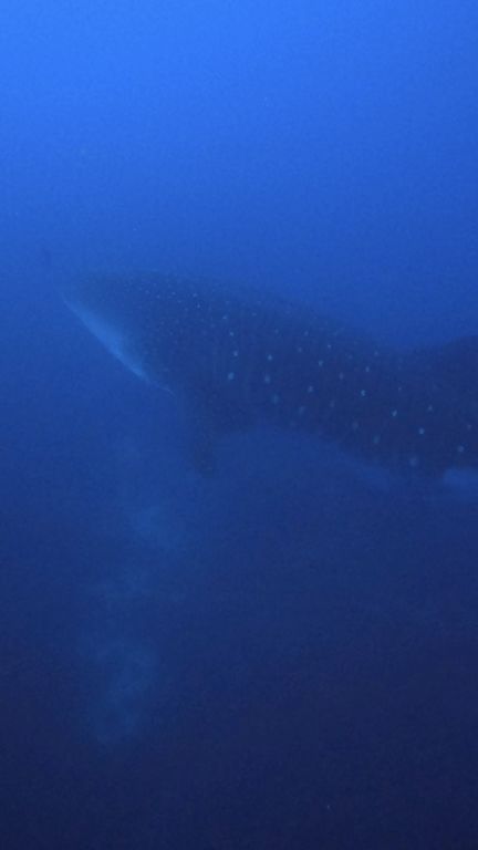 25974c0f-0bfe-41d9-a4b4-e84b3a4b4cf2