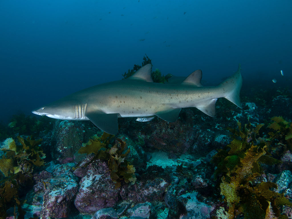 c54b9bc2-123d-467d-82fc-406f562bc5b3