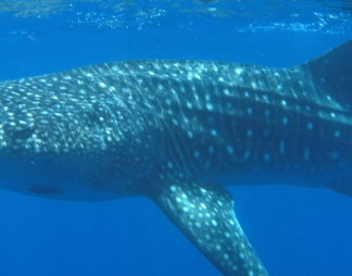 32f6d842-6f6a-4dd8-be98-cfe77e6aa66e