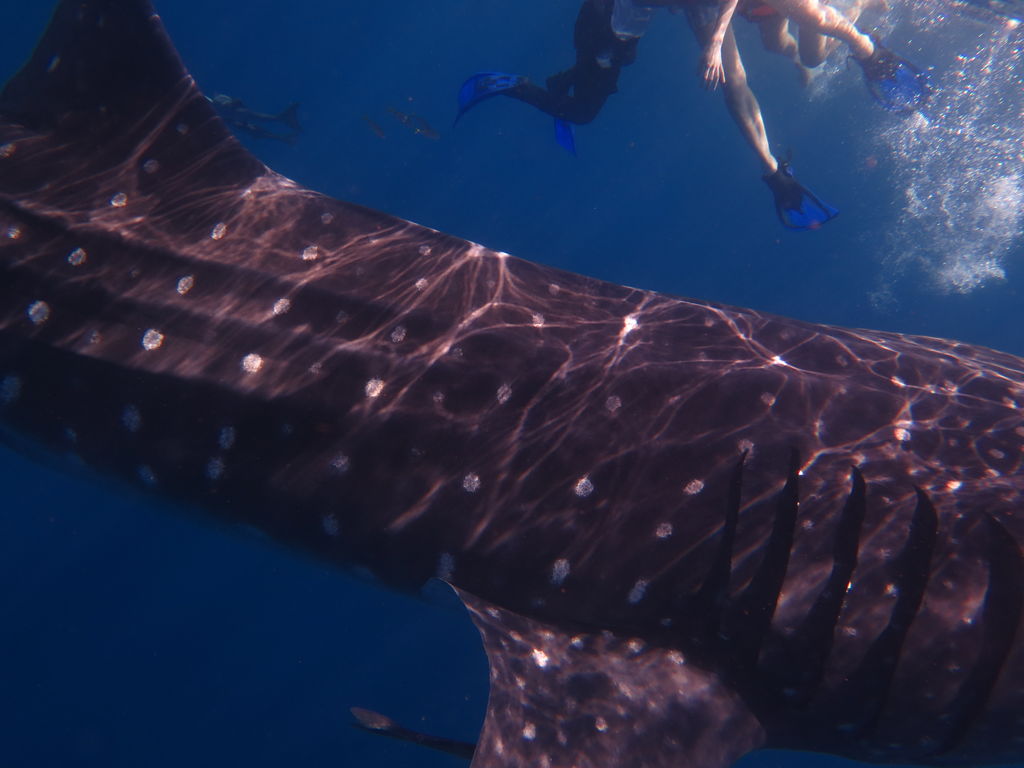 057d7457-9132-4b60-8713-3c6cad0b0630