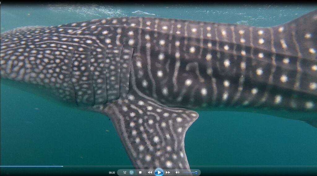 2062464b-9f70-4a3d-93b4-834b4bd4946d