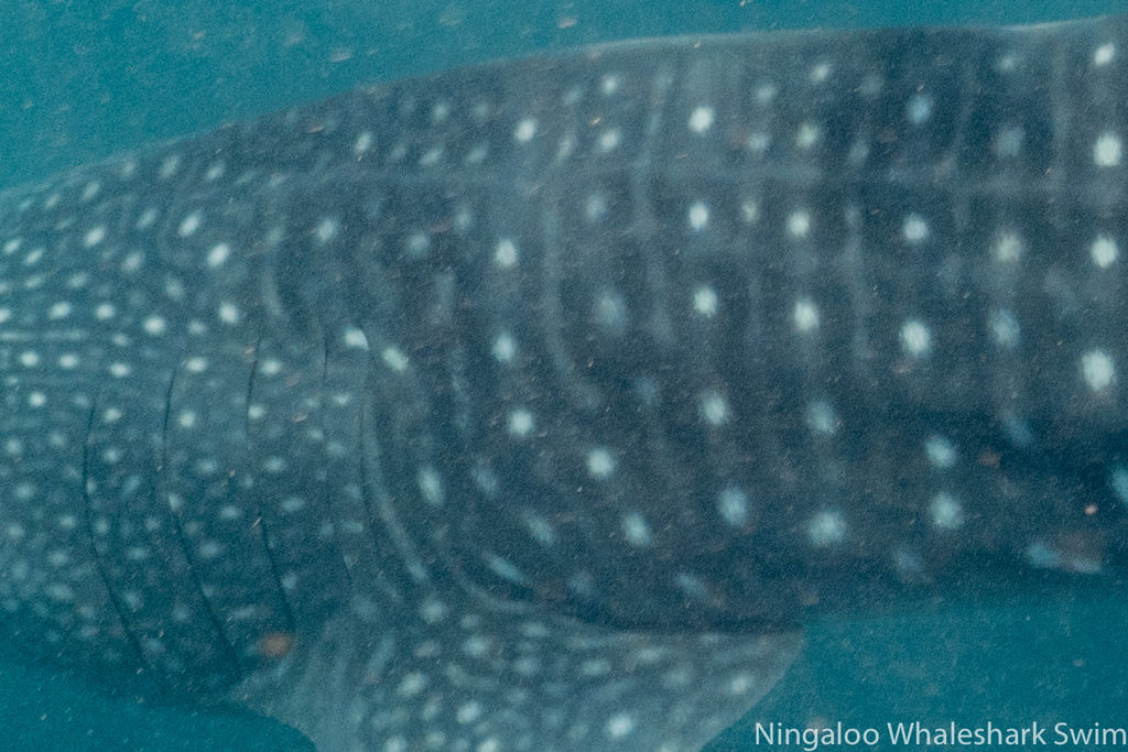 5abc9f2e-3068-4937-b346-52aa26ca7899