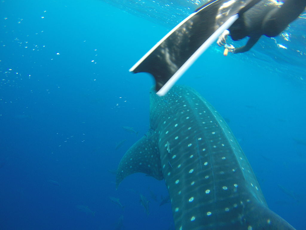 da888d1a-4893-4c3e-a772-9f00f2a83a72