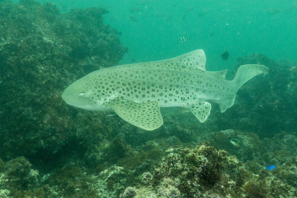 92b8c15e-8f8a-4395-aa83-22077c8abec2