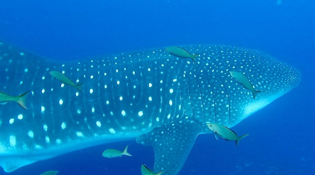 b44e3397-cdec-4fd1-8e5b-dd0ac5e98e56