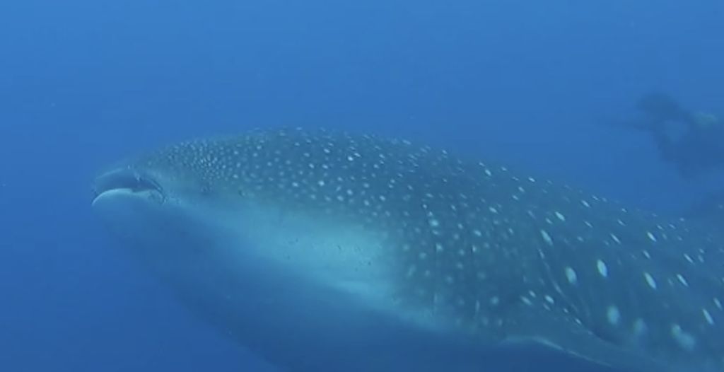 b44e3397-cdec-4fd1-8e5b-dd0ac5e98e56