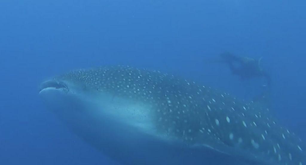 b44e3397-cdec-4fd1-8e5b-dd0ac5e98e56