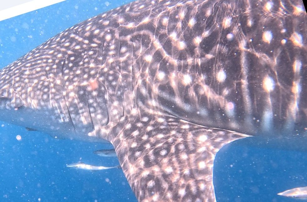 7340833a-ba7b-46b9-beb7-ca5fff1679c6