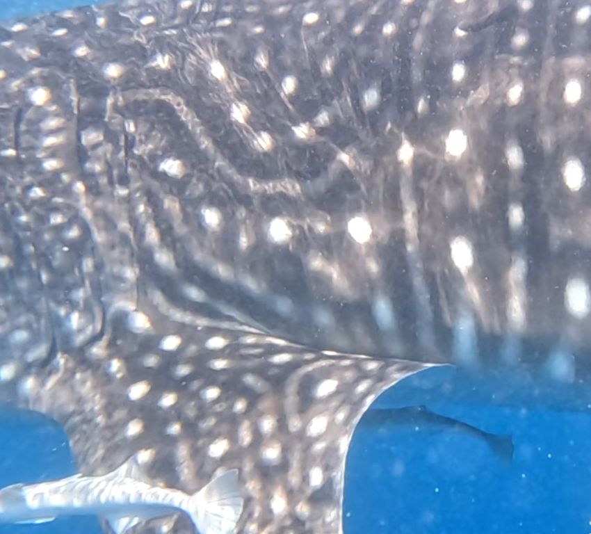 7340833a-ba7b-46b9-beb7-ca5fff1679c6