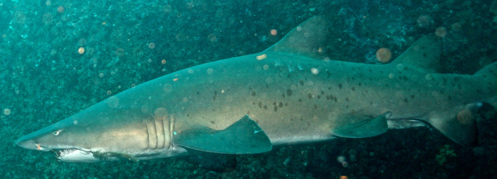 bc632402-73b6-4e36-8a86-b00c4c4c4960