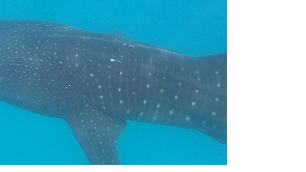 c6e79ed3-24f5-4fb6-8174-2e35315dbdd2