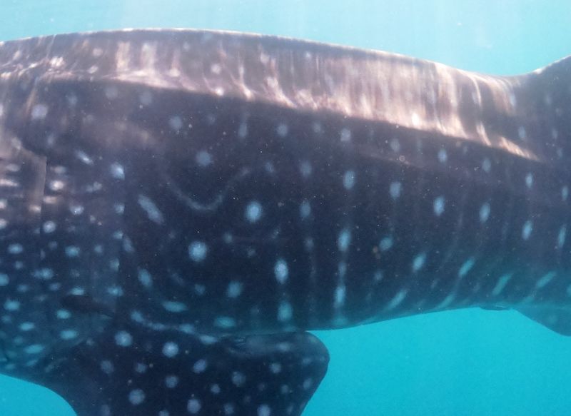 62e1c912-eff5-4a0a-99c9-6c865617eb94