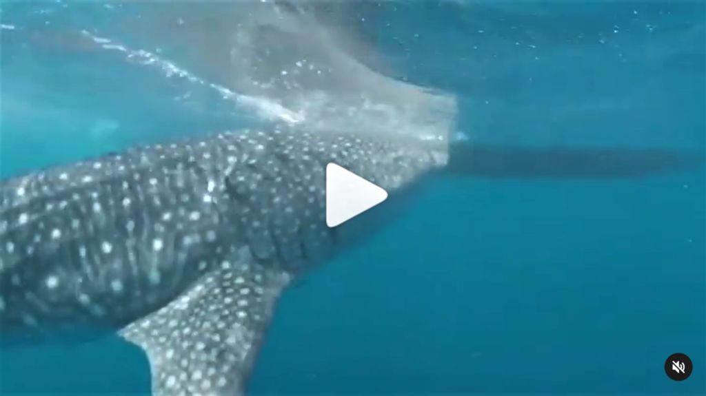 616fa333-d0e2-4b6f-9587-5e0871850fe3