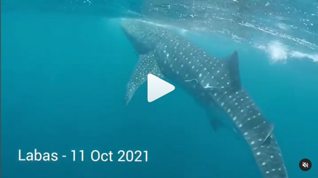 616fa333-d0e2-4b6f-9587-5e0871850fe3