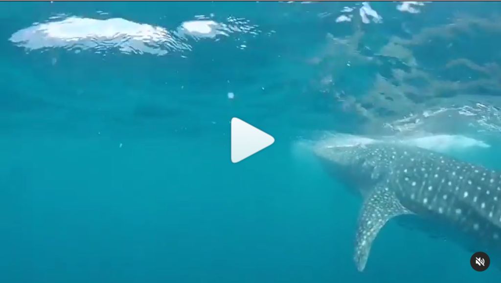 616fa333-d0e2-4b6f-9587-5e0871850fe3