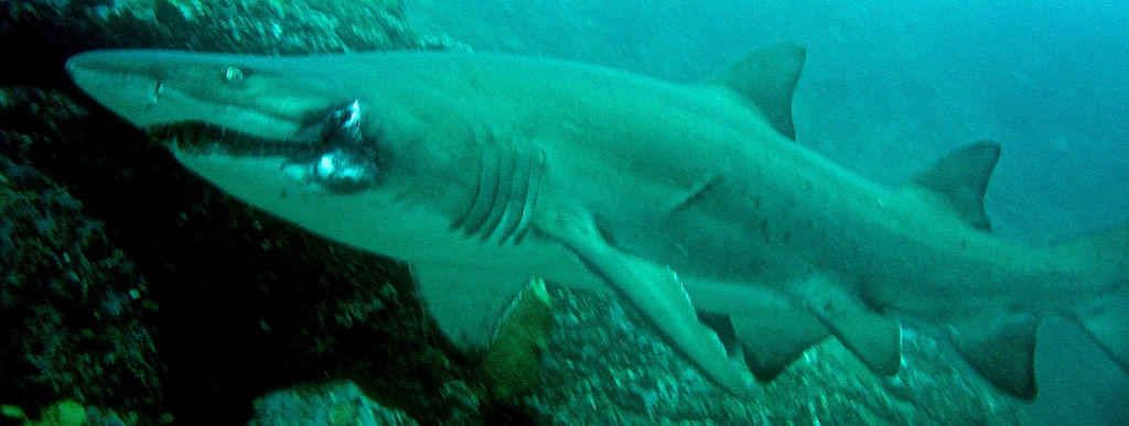 e3525232-1eb5-47c3-88d6-faa81a6cba0a