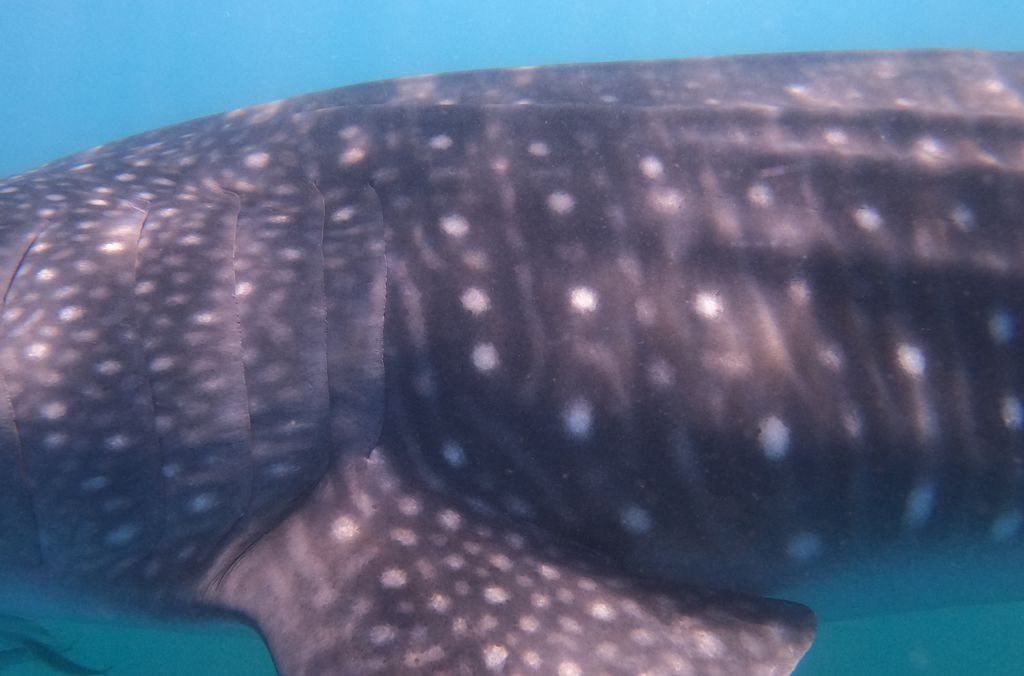 6cb2f88c-0309-495f-9c10-ca4ec5a1200d