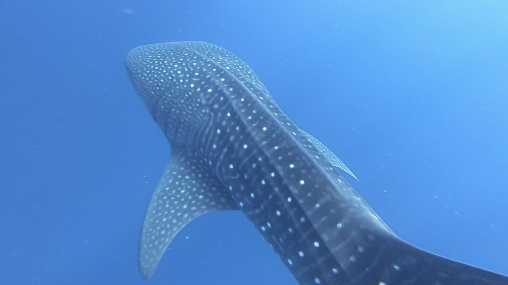 5b915537-611d-4e1c-b868-59931412553f