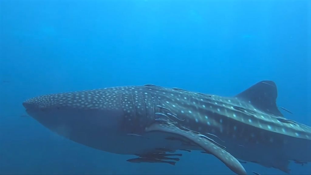 8705dce1-8dc7-4759-87e9-41fe66b567c3