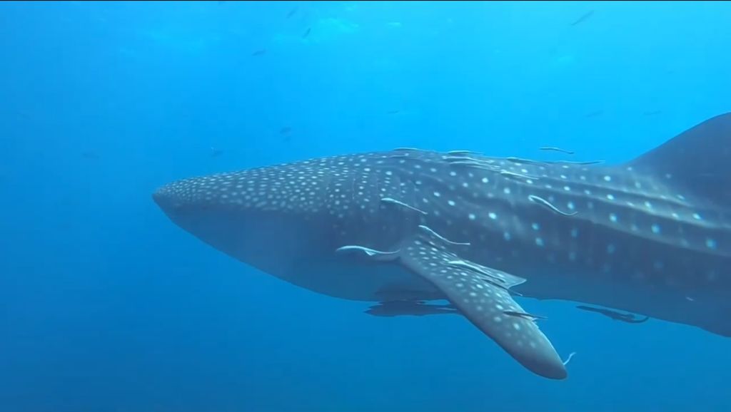 8705dce1-8dc7-4759-87e9-41fe66b567c3