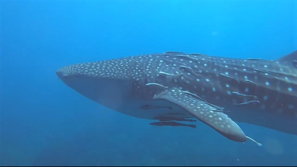 8705dce1-8dc7-4759-87e9-41fe66b567c3