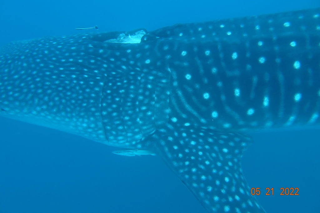 08d91695-4852-4627-aa60-e21a9f016794